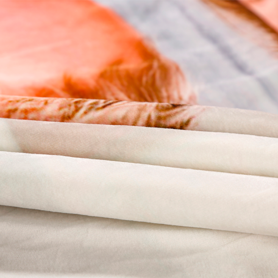 Sherpa Blanket - All Signs Today