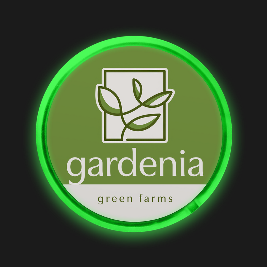 Light Button Pins - All Signs Today