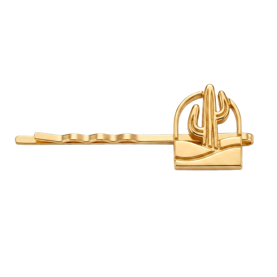 3D Metal Hair Clips - All Signs Today