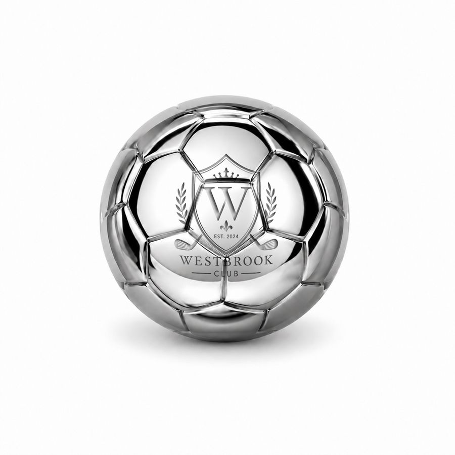Soccer Ball Stainless Steel Ice Cubes - All Signs Today