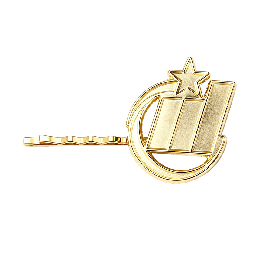 Die Struck Metal Hair Clips - All Signs Today