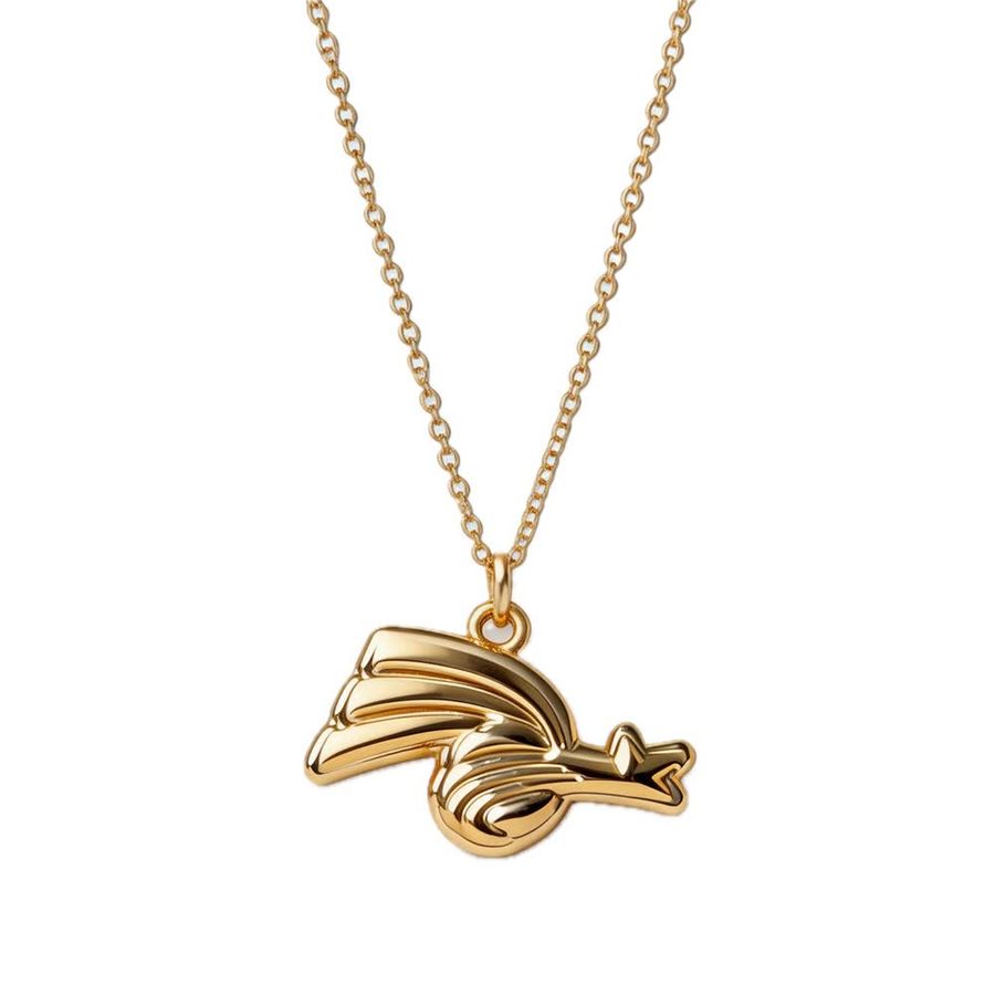 3D Charm Necklaces - All Signs Today