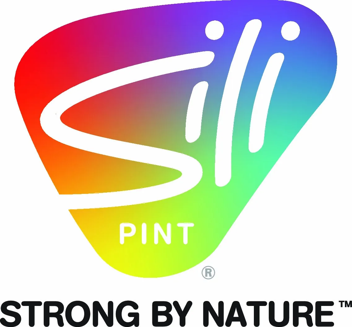 Silipint